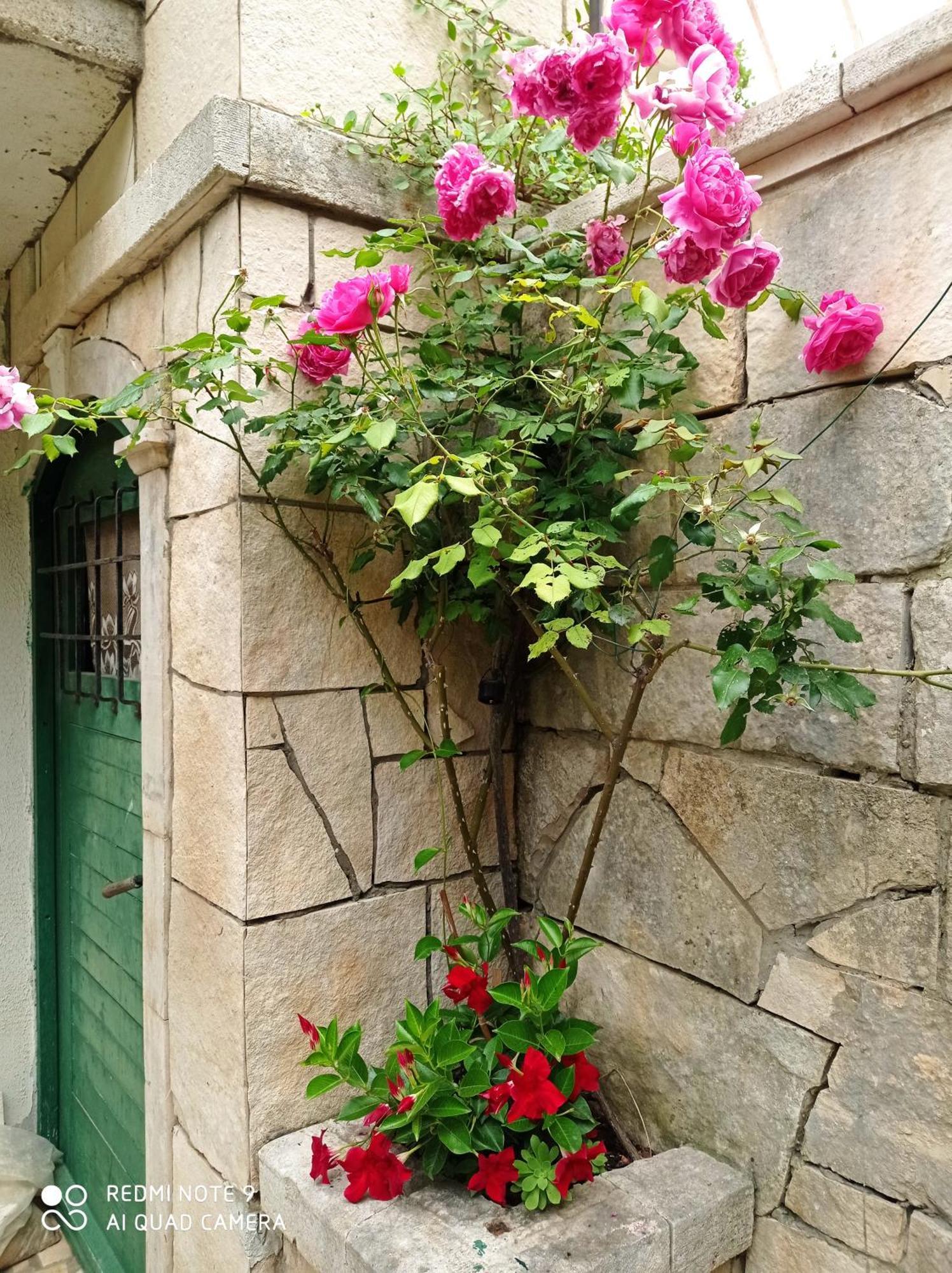 Apartments Panorama Korcula Town Exterior photo
